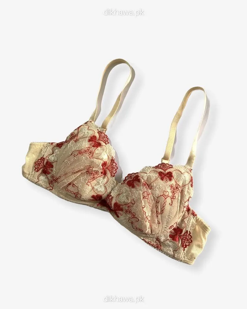 Imported Stocklot Branded  Net Pushup Bra - Underwired Bra  Non Padded Bra - Pack of 2
