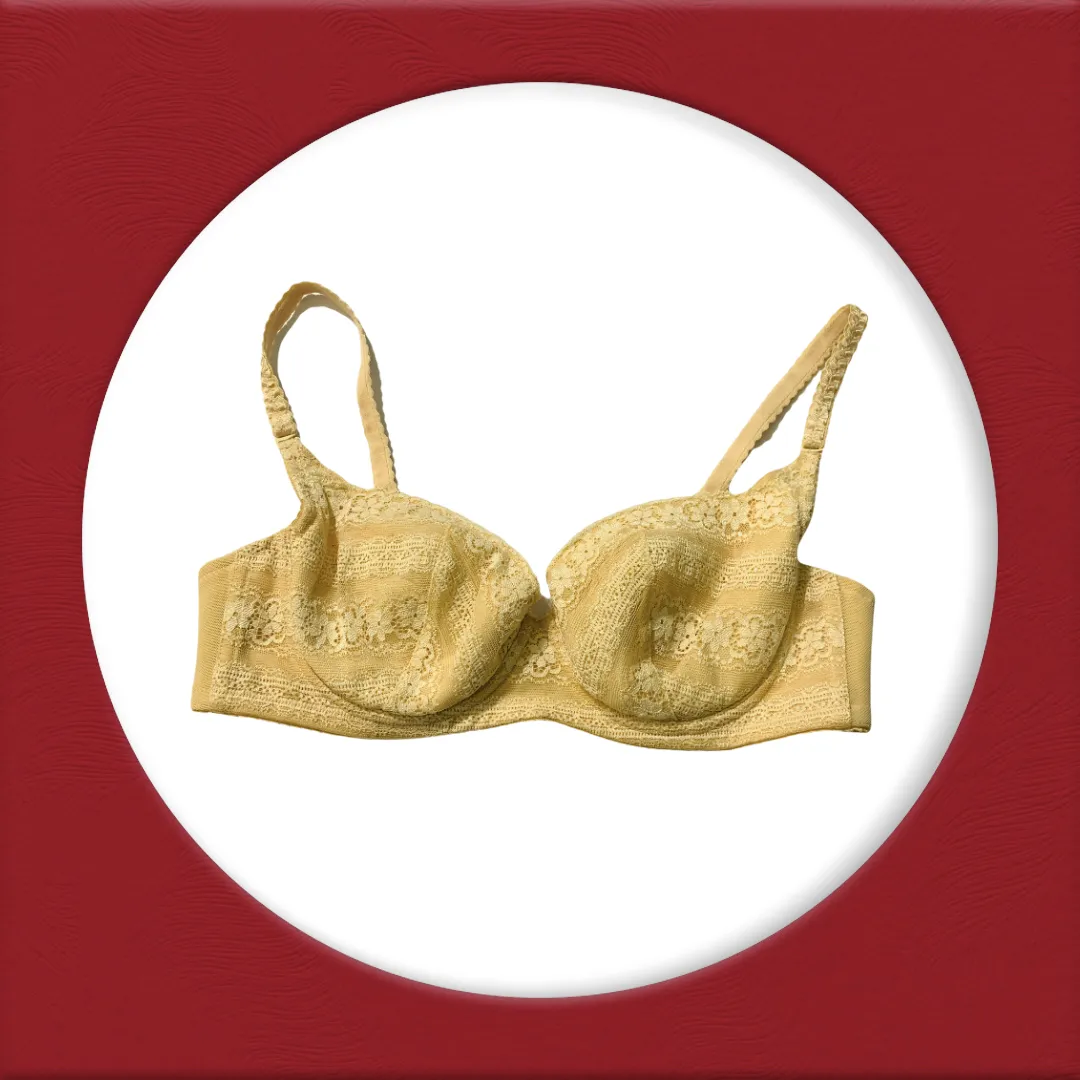 Imported Stocklot Branded  Net Pushup Bra - Underwired Padded Bra - Pack of 2