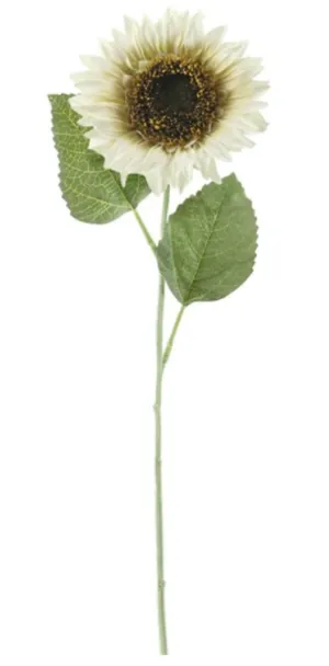 Ivory Sunflower Stem