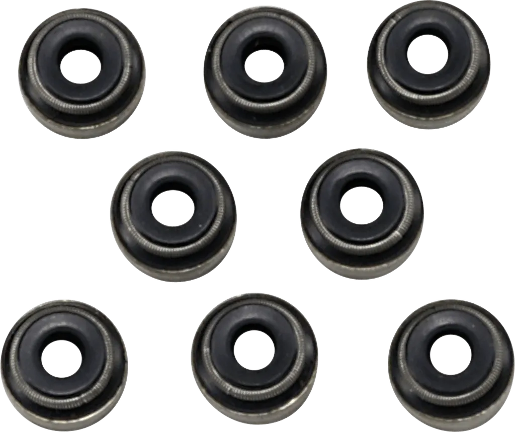 James Gasket ST-18100025 Valve Guide Seal Kit
