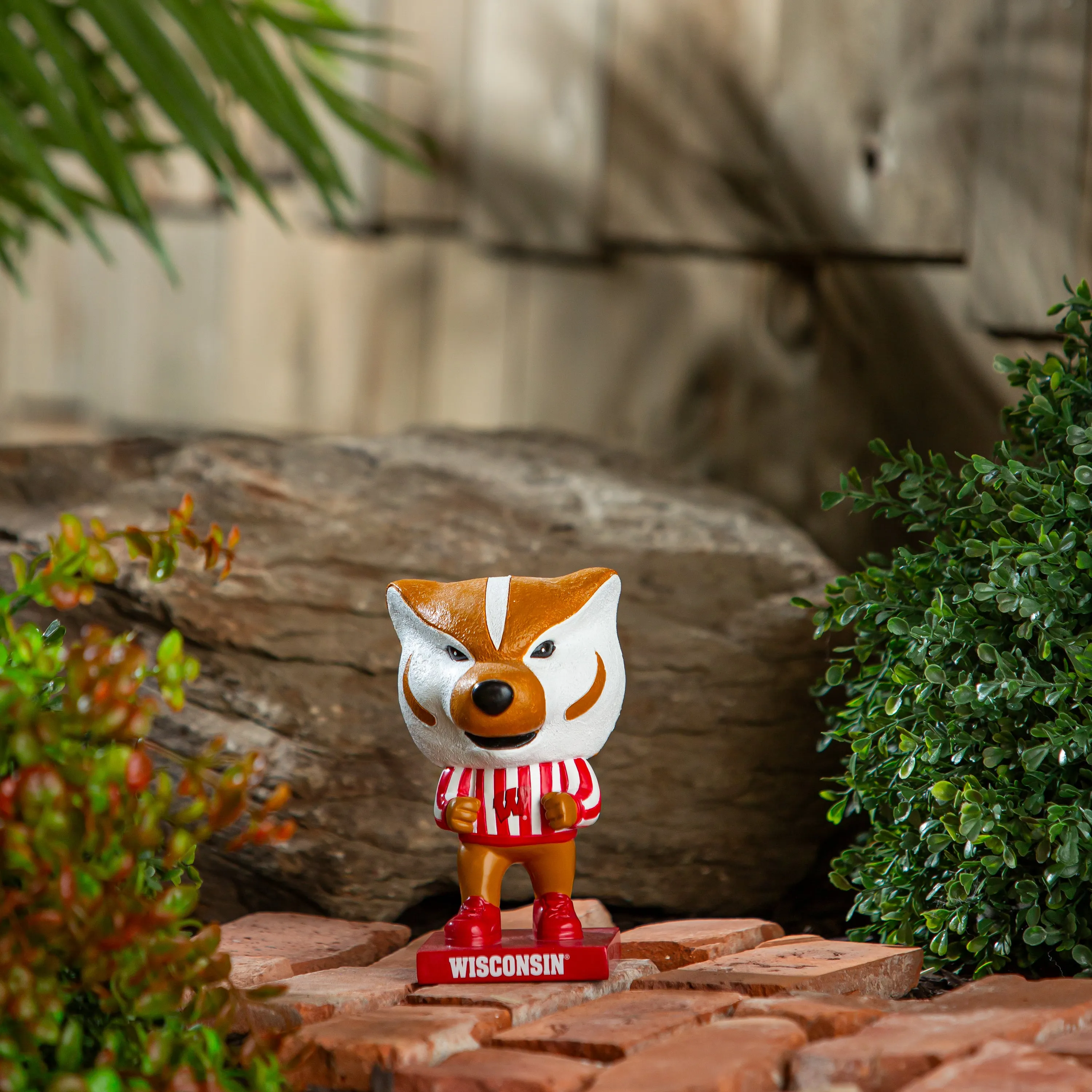 Lil Big Head Statue, Mascot, University of Wisconsin-Madison,84984lbhm