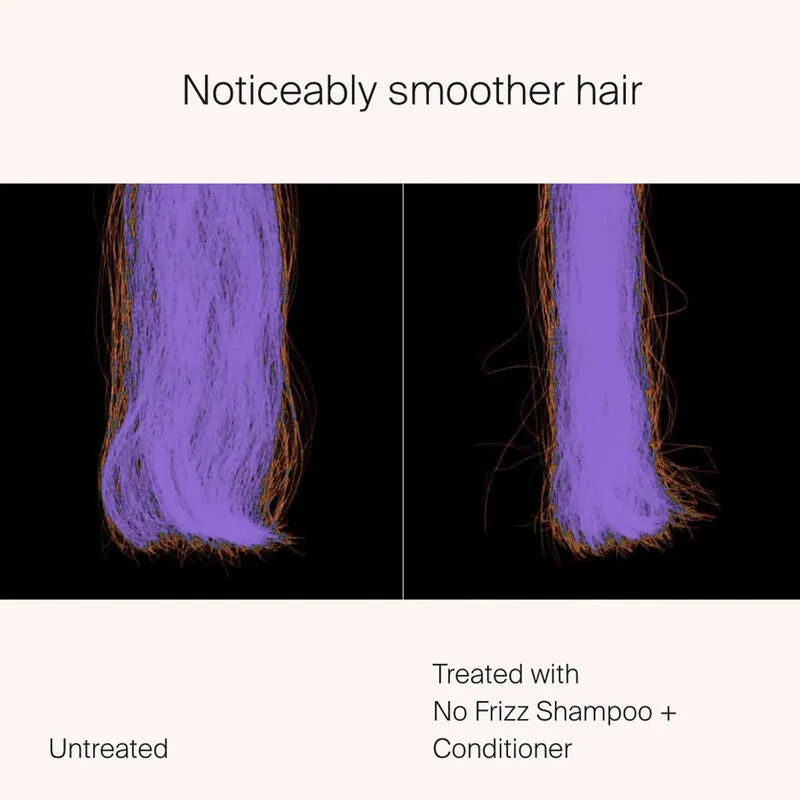 Living Proof No Frizz Shampoo