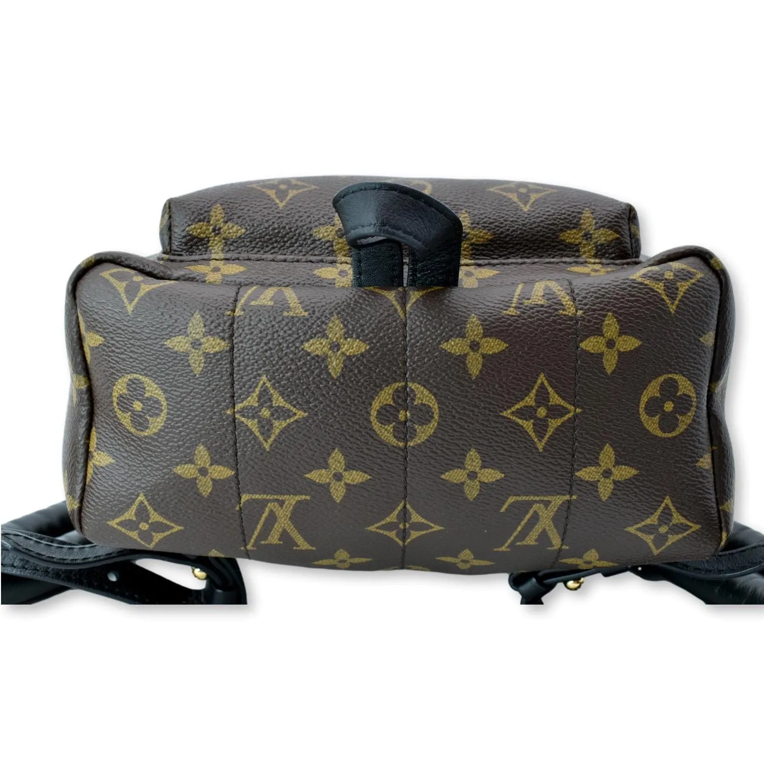LOUIS VUITTON Palm Springs PM Monogram Canvas Backpack Brown