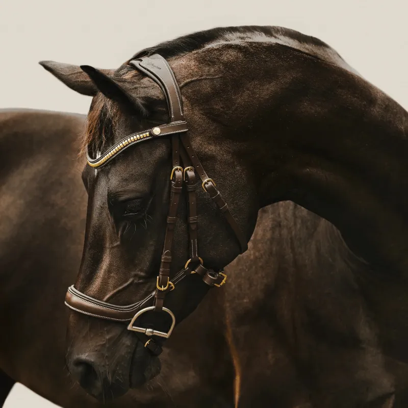 Lumiere Bridle Dallas
