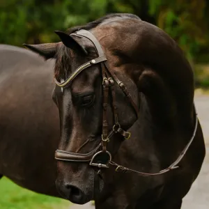 Lumiere Bridle Dallas