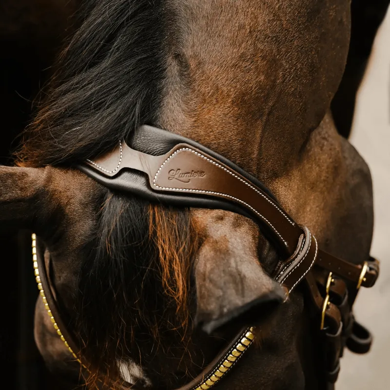 Lumiere Bridle Dallas