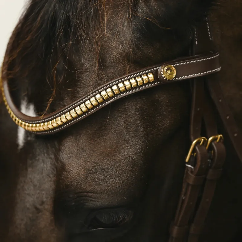 Lumiere Bridle Dallas