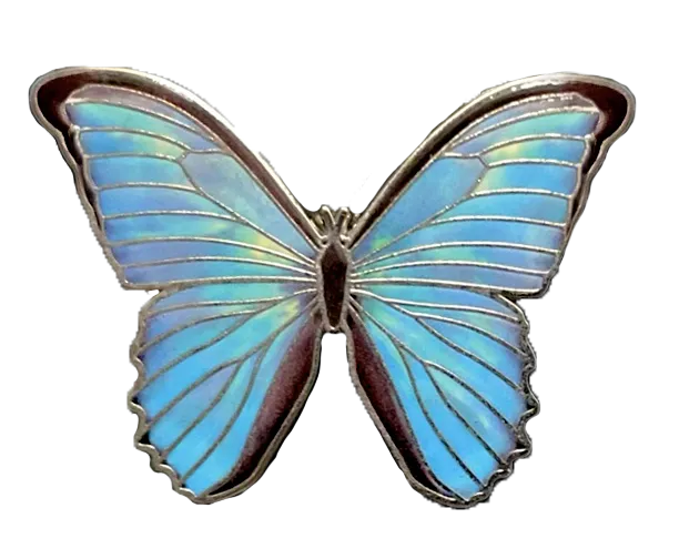 Morpho Didius Butterfly Pin