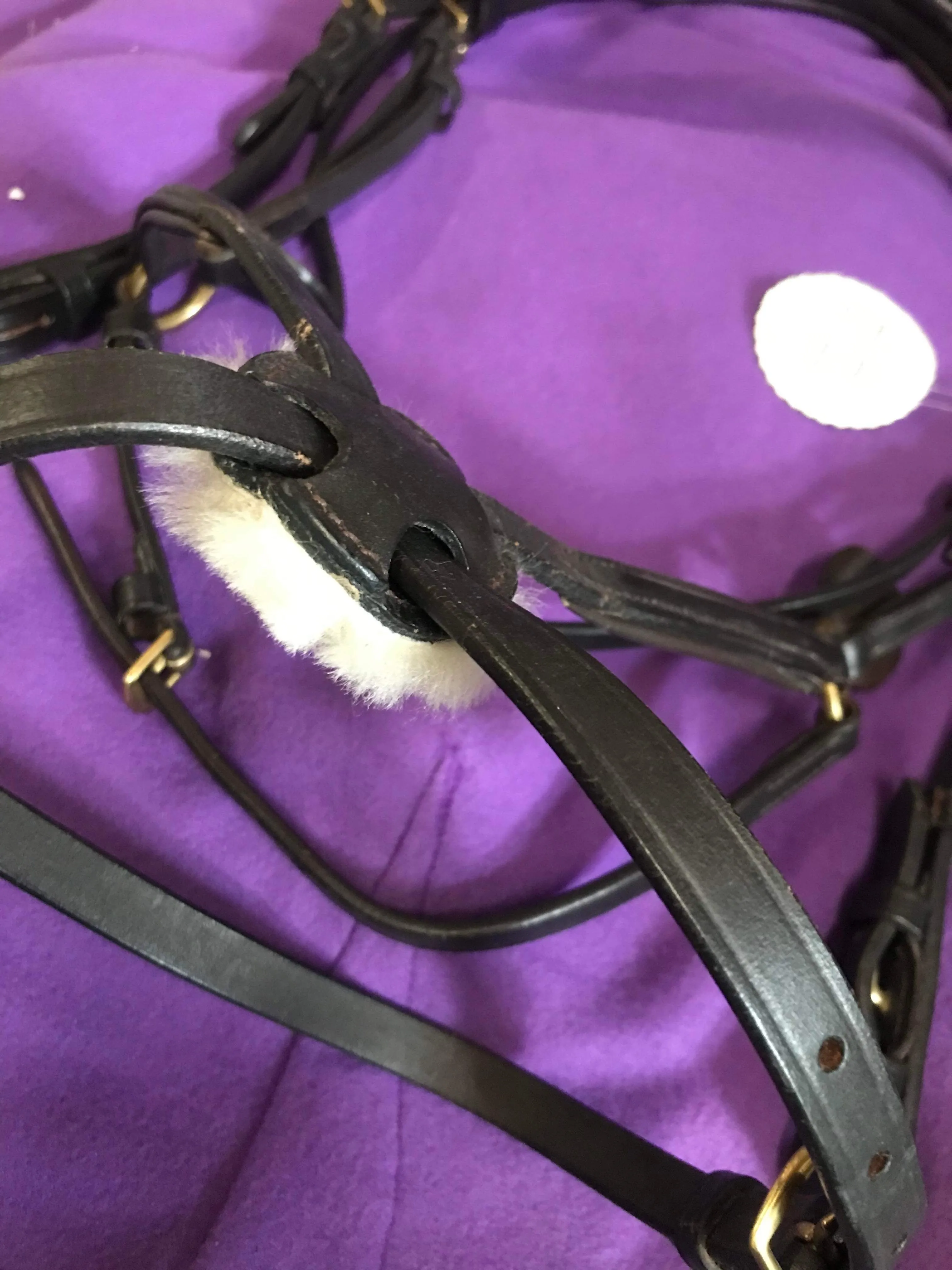 New brown leather grackle bridle cob size brass fittings FREE POSTAGE❤️