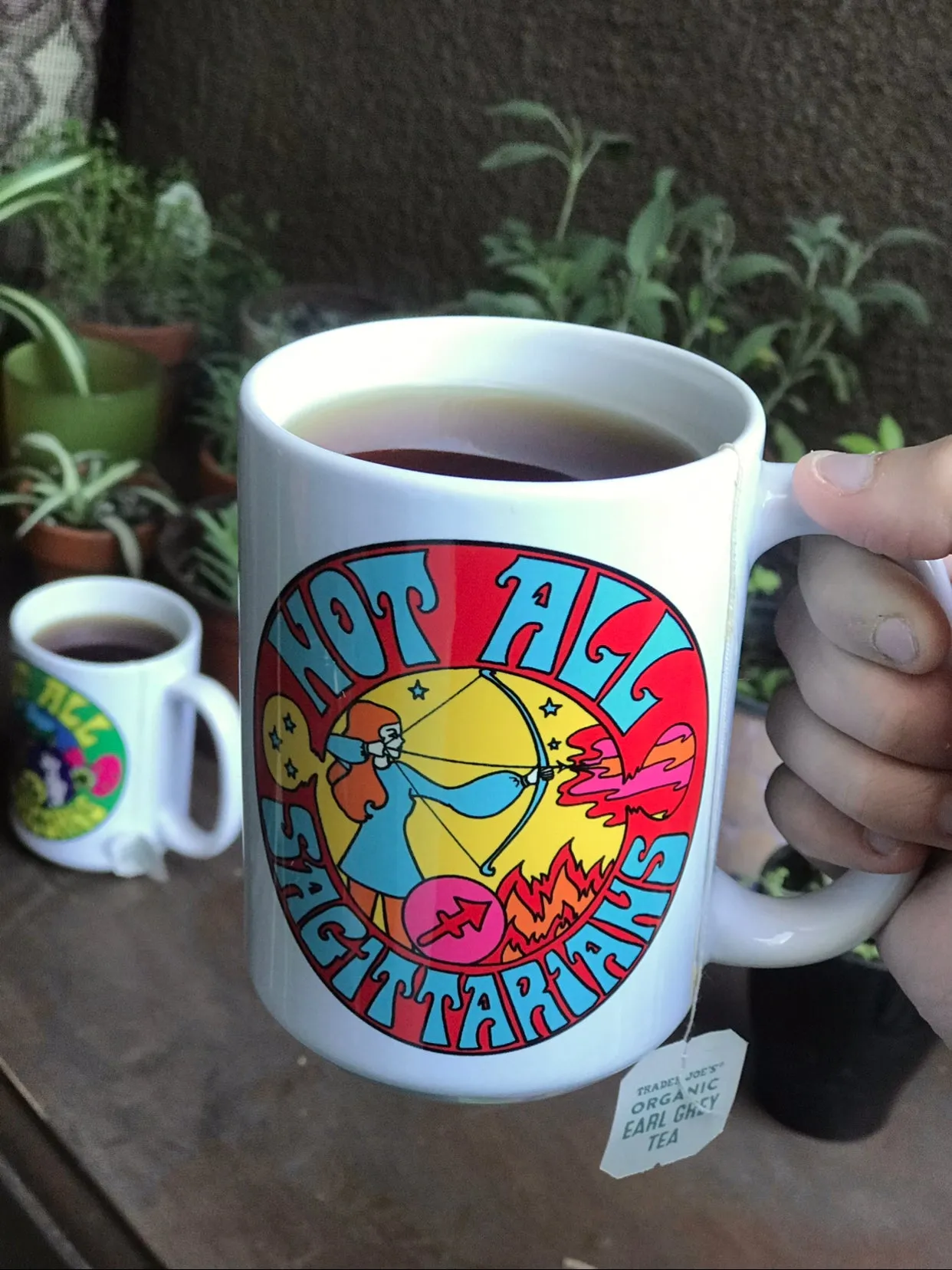 Not All Sagittarians Mug