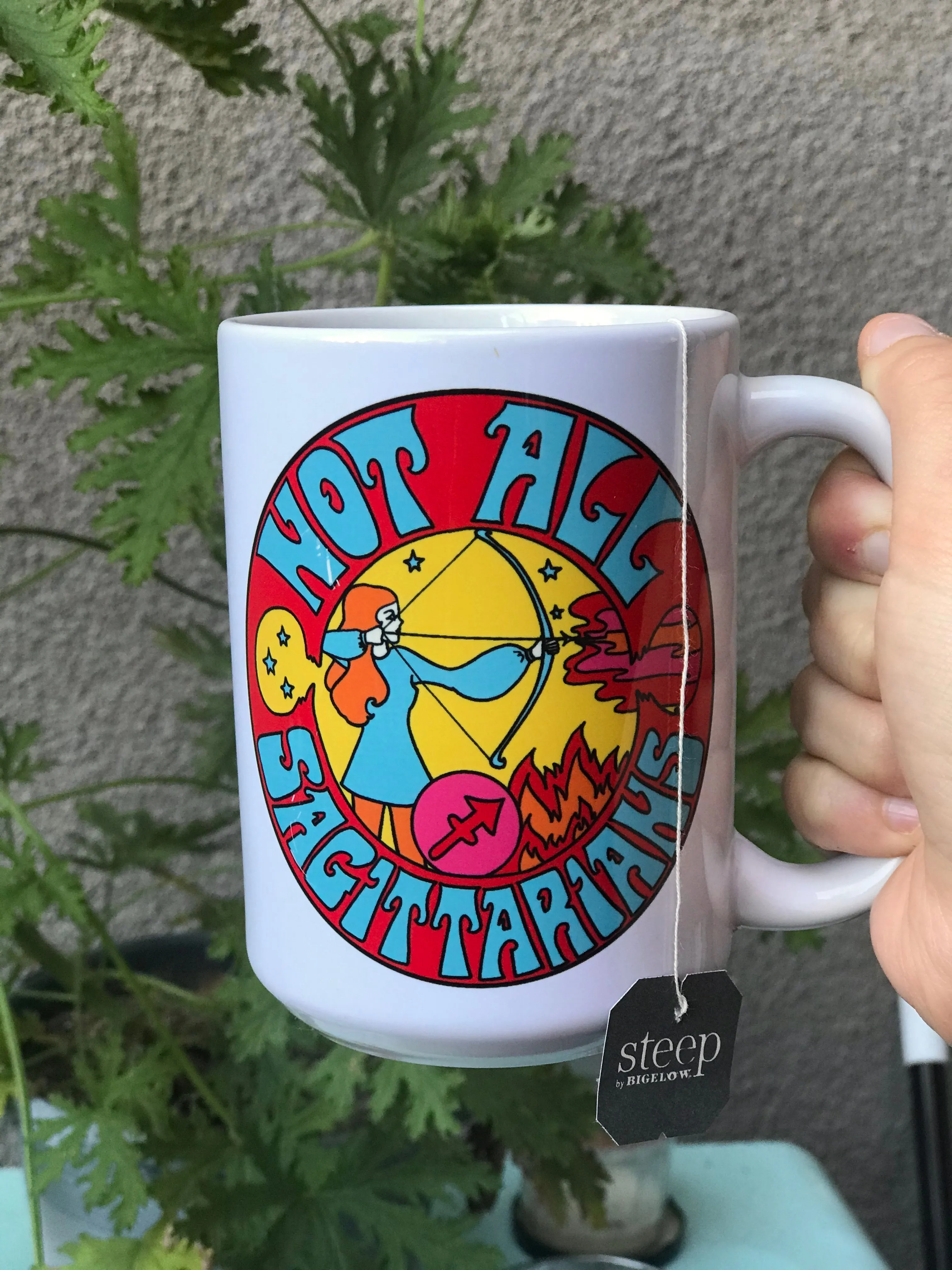 Not All Sagittarians Mug