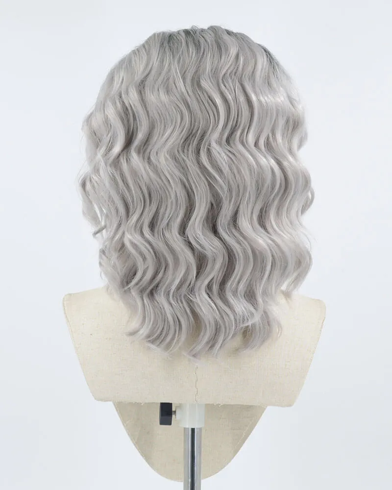 Ombre Gray Curly Synthetic Lace Front Wig WW009