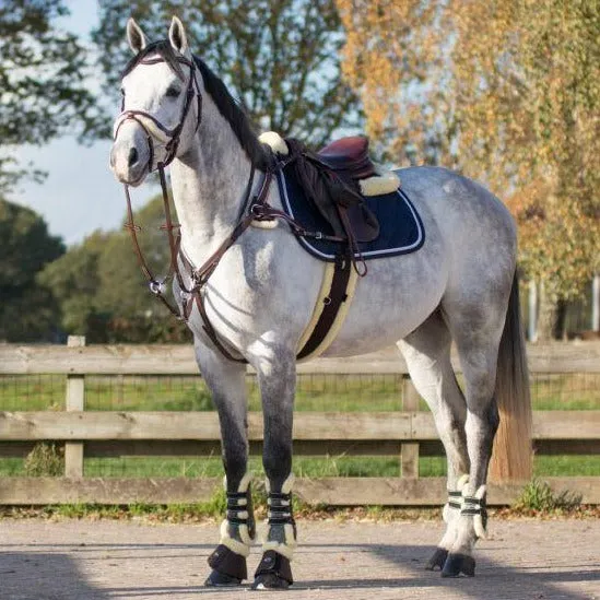 Ontario 5 Point Breastplate - Brown