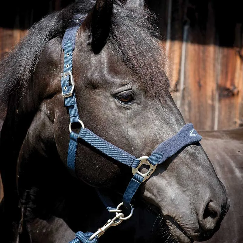 Padded Fleece Halter