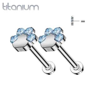 Pair of Implant Grade Titanium Paw Print Aqua CZ Push In Threadless Earrings With Flat Back