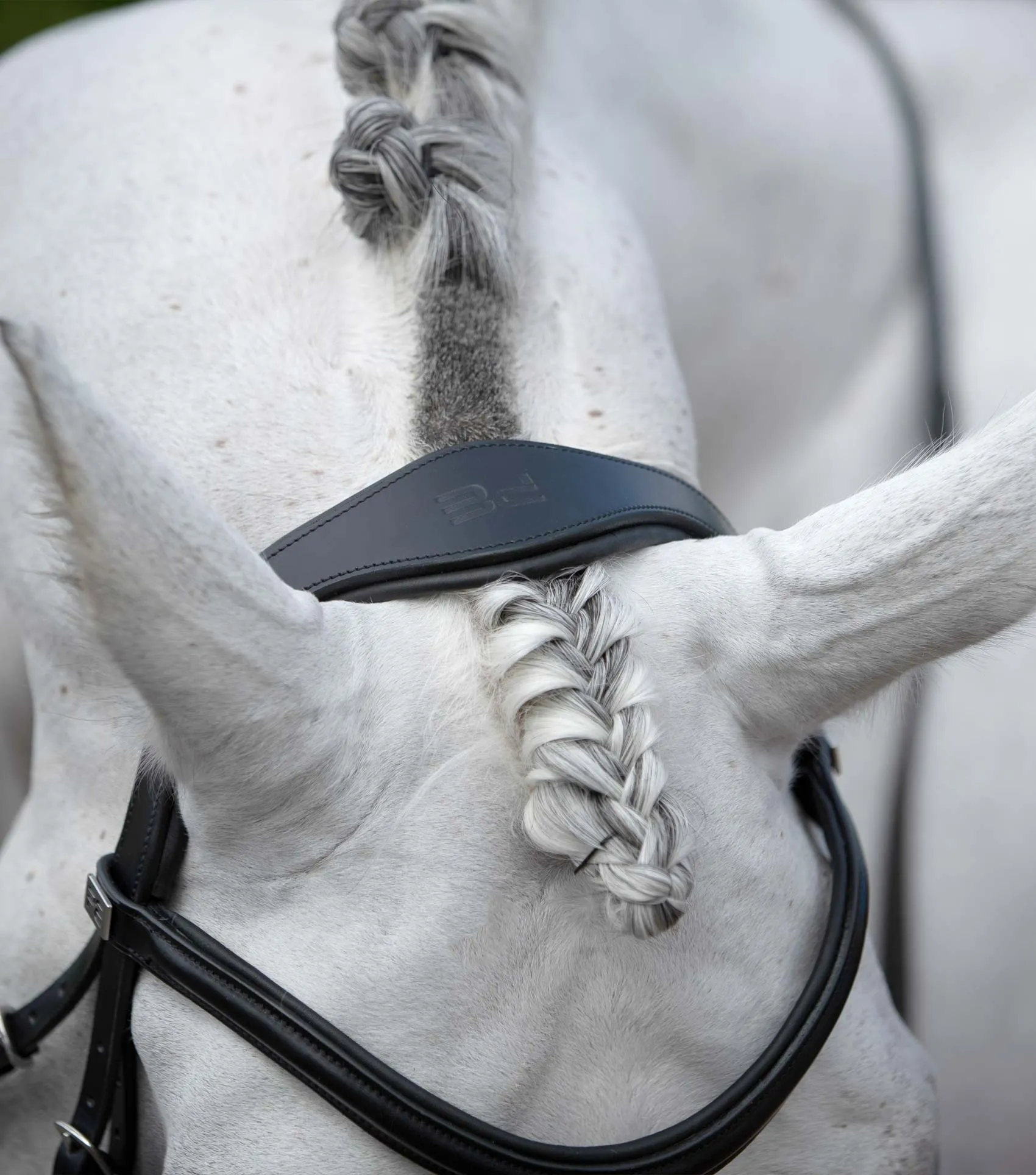 PEI Rizzo Anatomical Snaffle Bridle