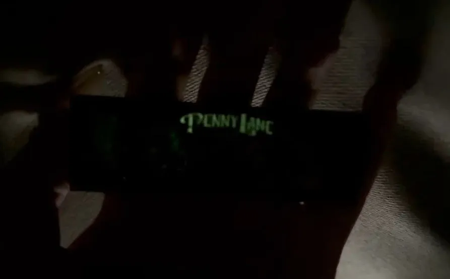 Penny Lane Pin- "The Mural" V2
