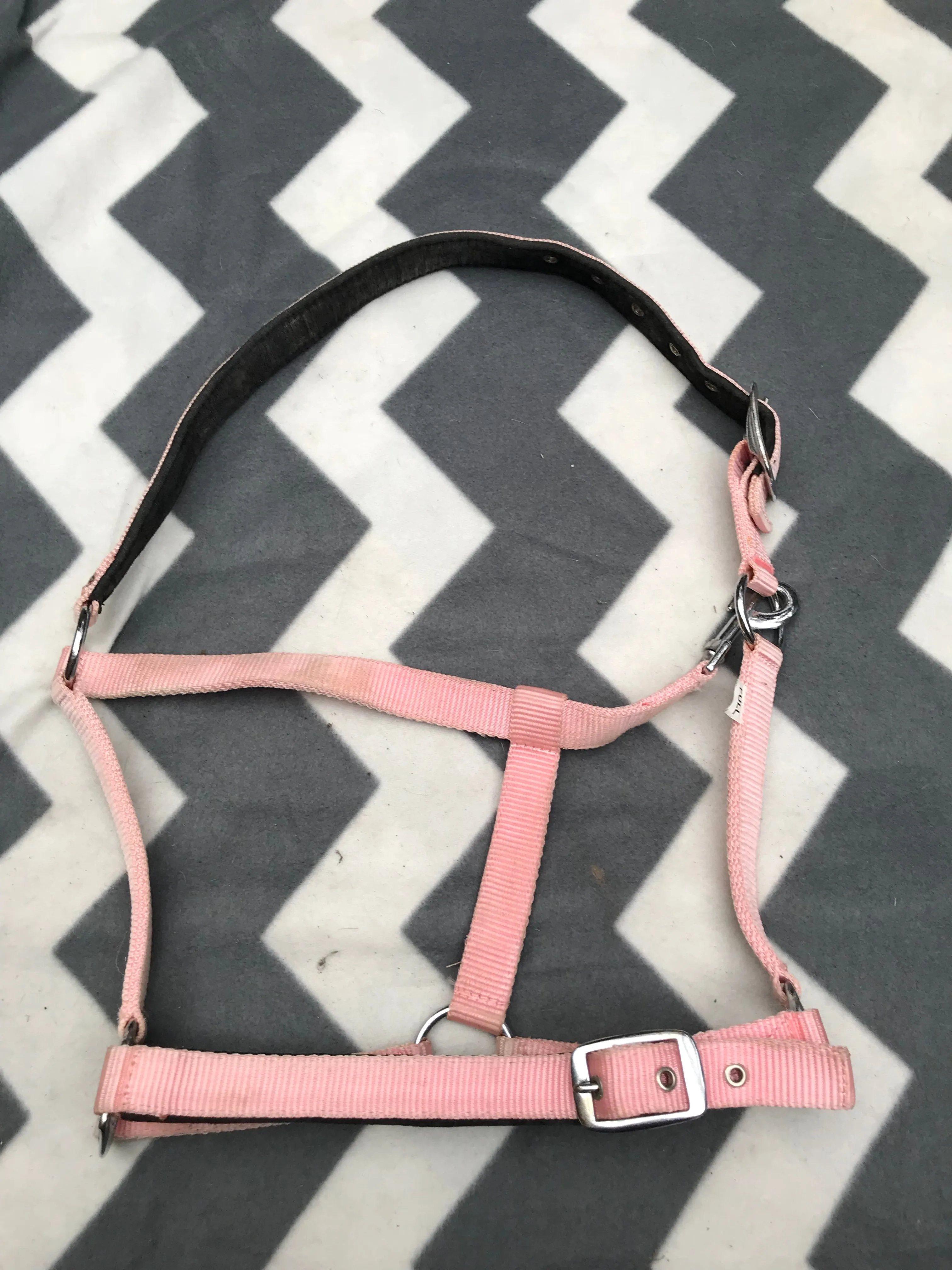 Pink full size head collar padded FREE POSTAGE