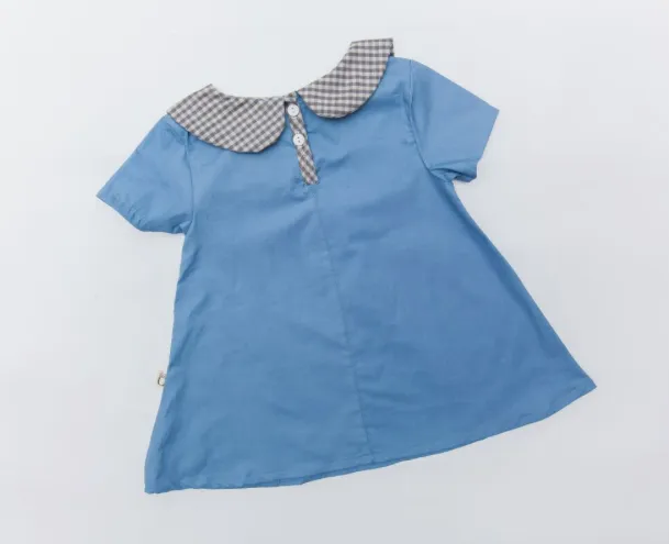 Prince Street Dress- Blue
