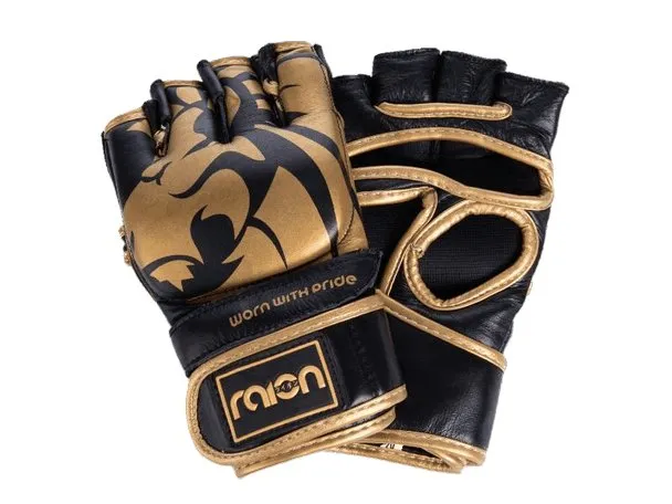 RAION MMA GLOVES | Boxing Gloves | Training | Sparring Gloves | Safe and Comfy