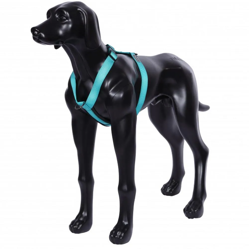Rukka Pets Form Turquoise Comfy Dog Harness