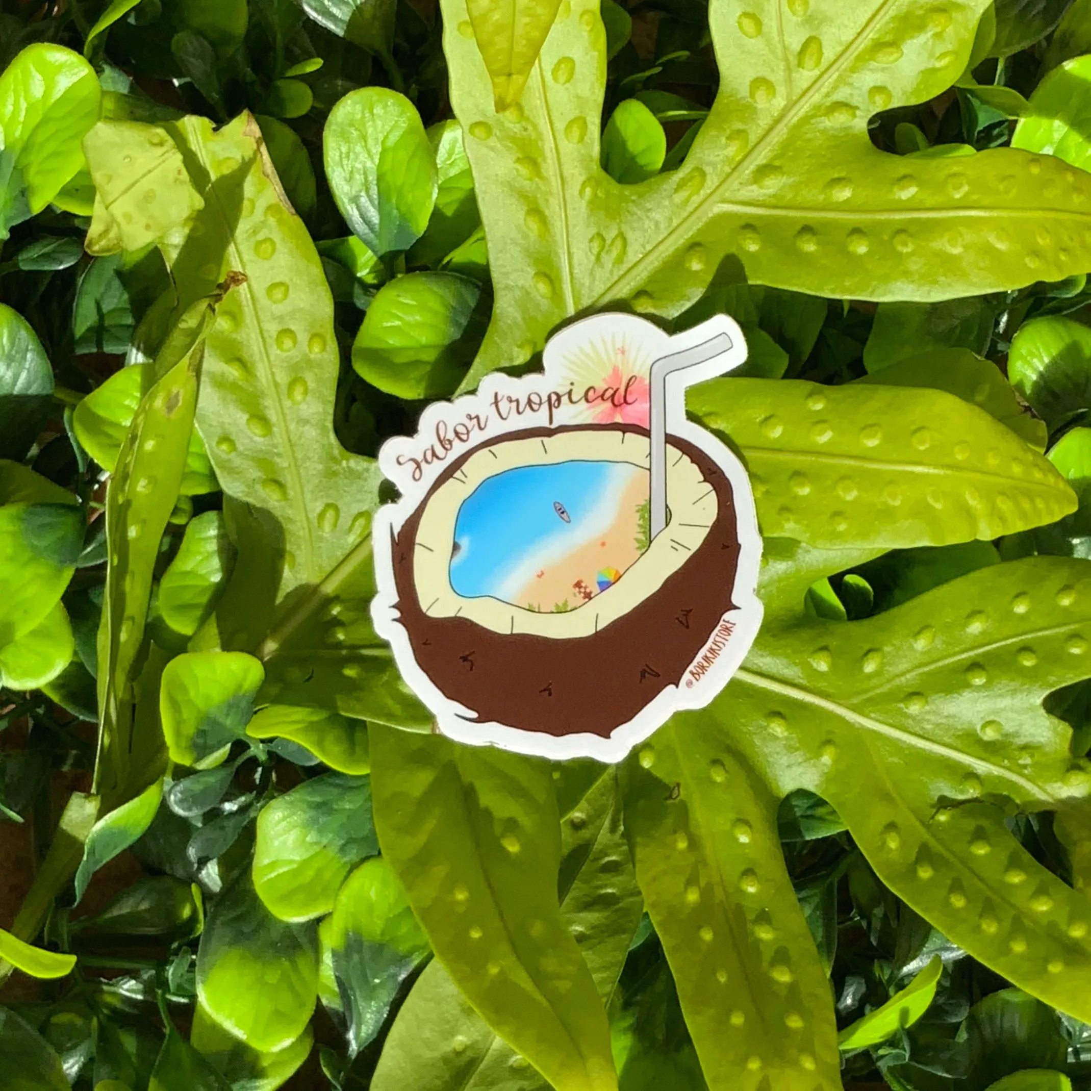 Sabor Tropical