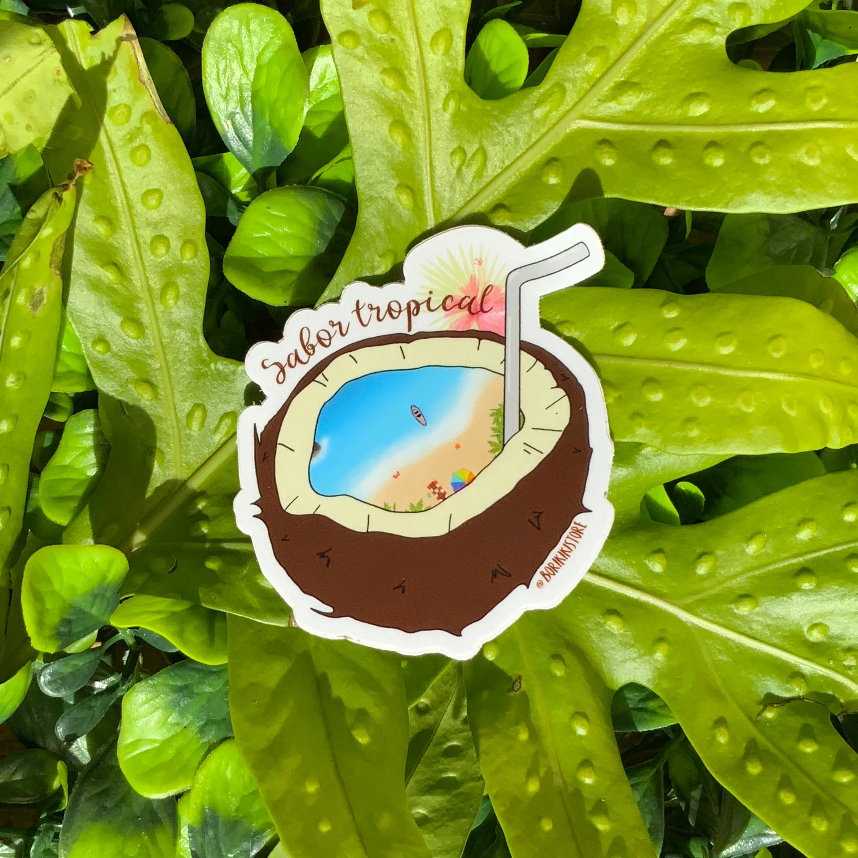 Sabor Tropical