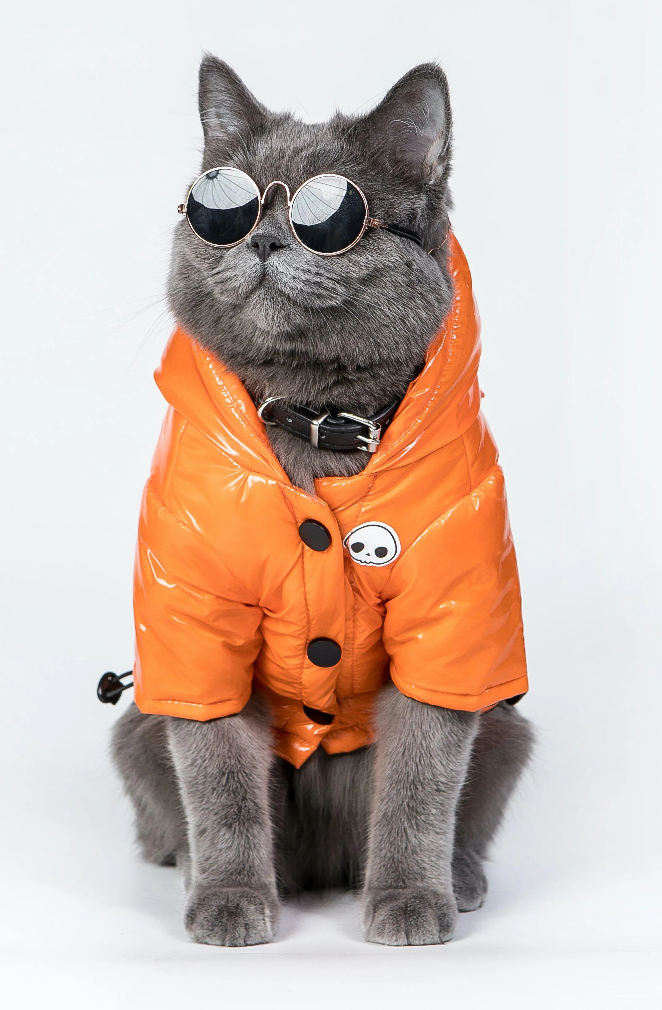 Skull Orange Cotton-Padded Coat
