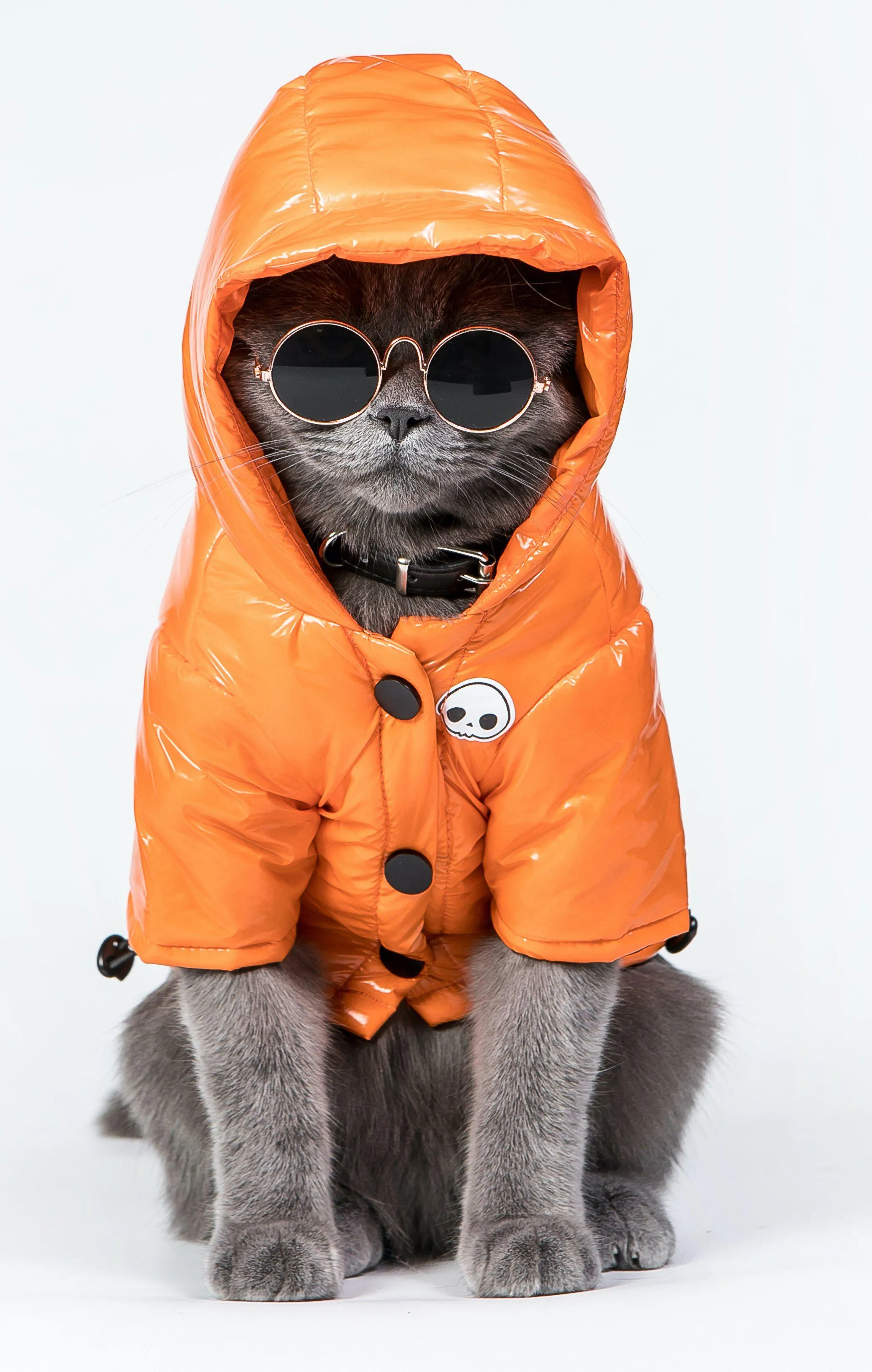 Skull Orange Cotton-Padded Coat