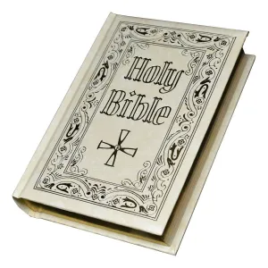 St. Joseph Holy Bible New Catholic Bible (Large Type Illustrated) Cover padded