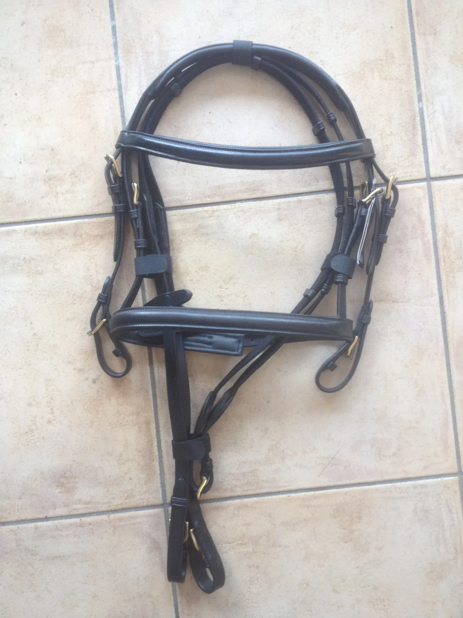 Stirrups Brand English Leather Cavesson Bridle
