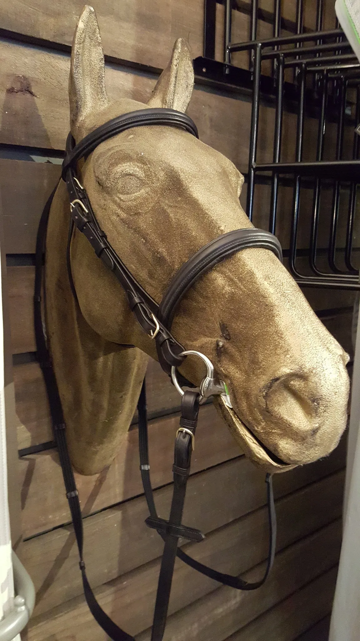 Stirrups Brand English Leather Cavesson Bridle