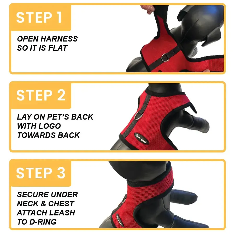 Wrap and Go Harness