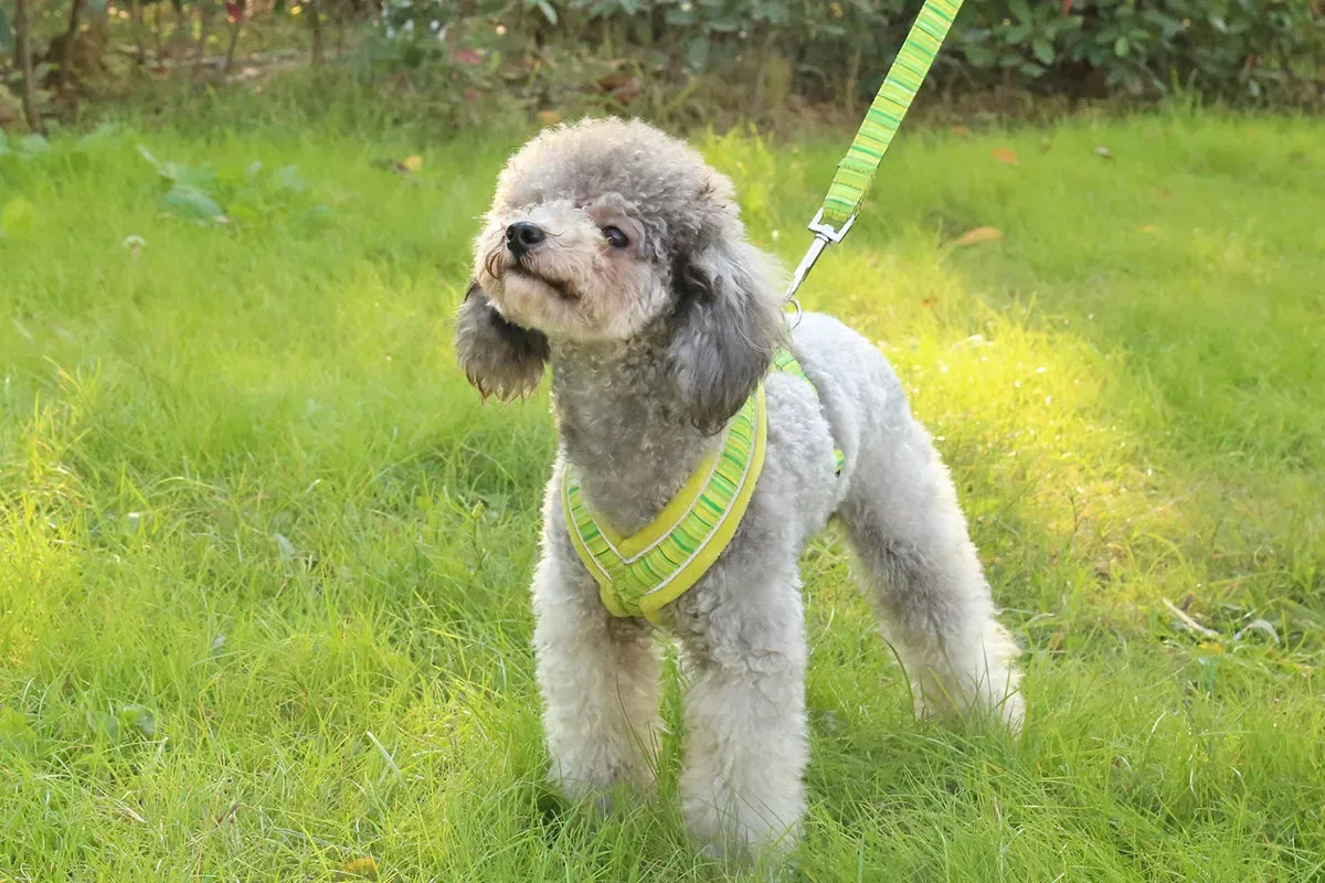 Y Shaped Dog Harness | Fleece