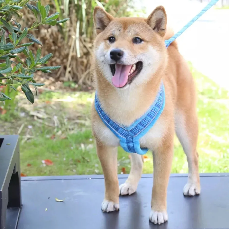 Y Shaped Dog Harness | Fleece
